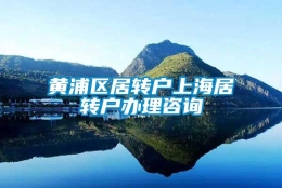 黄浦区居转户上海居转户办理咨询