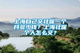 上海自己交社保一个月多少钱？上海社保个人怎么交？