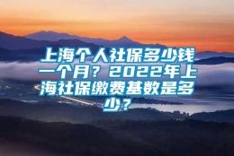 上海个人社保多少钱一个月？2022年上海社保缴费基数是多少？