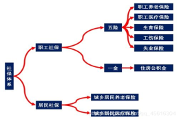 社会保障卡与应届生／工作人员／失业人员的爱恨情仇