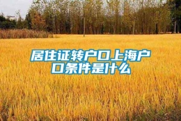 居住证转户口上海户口条件是什么