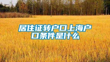 居住证转户口上海户口条件是什么