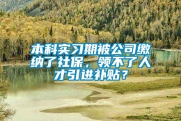 本科实习期被公司缴纳了社保，领不了人才引进补贴？