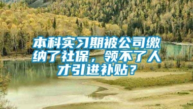 本科实习期被公司缴纳了社保，领不了人才引进补贴？