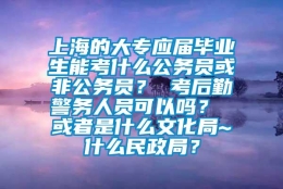 上海的大专应届毕业生能考什么公务员或非公务员？ 考后勤警务人员可以吗？ 或者是什么文化局~什么民政局？