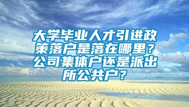 大学毕业人才引进政策落户是落在哪里？公司集体户还是派出所公共户？