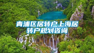 青浦区居转户上海居转户规划咨询