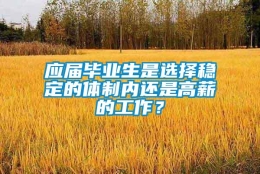 应届毕业生是选择稳定的体制内还是高薪的工作？