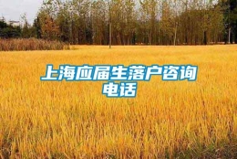 上海应届生落户咨询电话