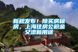 新规发布！除买房租房，上海住房公积金又添新用途