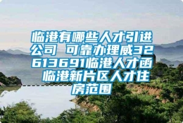 临港有哪些人才引进公司 可靠办理威32613691临港人才函 临港新片区人才住房范围