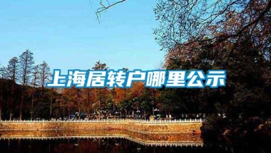 上海居转户哪里公示