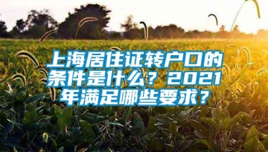 上海居住证转户口的条件是什么？2021年满足哪些要求？