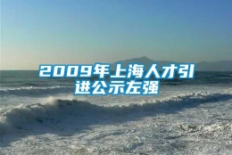 2009年上海人才引进公示左强