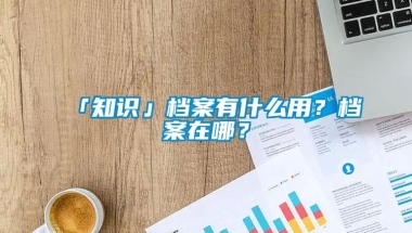 「知识」档案有什么用？档案在哪？