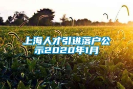 上海人才引进落户公示2020年1月