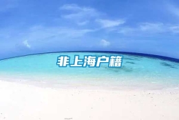 非上海户籍