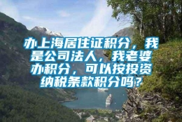 办上海居住证积分，我是公司法人，我老婆办积分，可以按投资纳税条款积分吗？