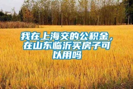 我在上海交的公积金，在山东临沂买房子可以用吗