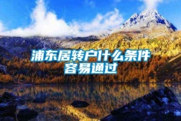 浦东居转户什么条件容易通过