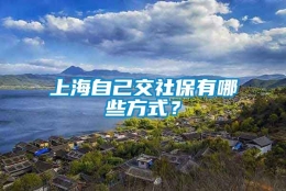 上海自己交社保有哪些方式？