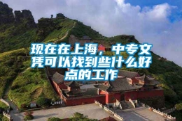 现在在上海，中专文凭可以找到些什么好点的工作