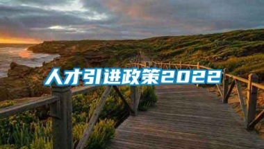 人才引进政策2022