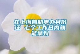 在上海自助申办身份证 七个工作日内就能拿到