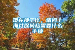 现在换工作，请问上海社保转移需要什么手续