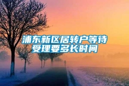 浦东新区居转户等待受理要多长时间