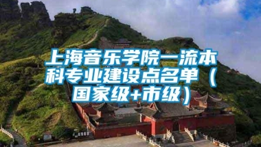 上海音乐学院一流本科专业建设点名单（国家级+市级）