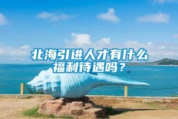 北海引进人才有什么福利待遇吗？