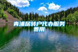 青浦居转户代办服务费用