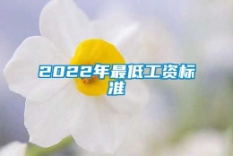 2022年最低工资标准