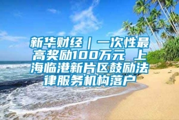 新华财经｜一次性最高奖励100万元 上海临港新片区鼓励法律服务机构落户