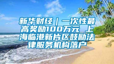 新华财经｜一次性最高奖励100万元 上海临港新片区鼓励法律服务机构落户