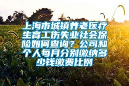 上海市城镇养老医疗生育工伤失业社会保险如何查询？公司和个人每月分别缴纳多少钱缴费比例