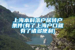 上海本科落户居转户条件(有了上海户口就有了诸多便利)