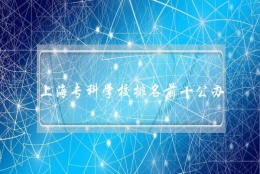 上海专科学校排名前十公办（上海高职专科学校排名）