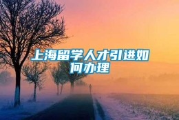 上海留学人才引进如何办理