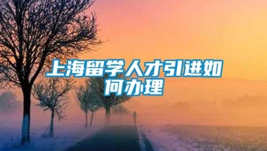 上海留学人才引进如何办理