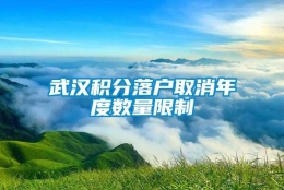 武汉积分落户取消年度数量限制