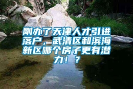 刚办了天津人才引进落户，武清区和滨海新区哪个房子更有潜力！？