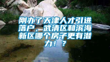 刚办了天津人才引进落户，武清区和滨海新区哪个房子更有潜力！？