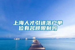 上海人才引进落户单位有名额限制吗