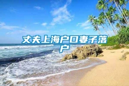 丈夫上海户口妻子落户