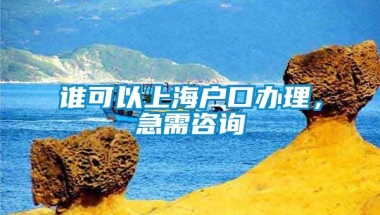 谁可以上海户口办理，急需咨询