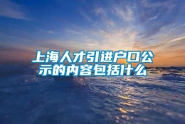 上海人才引进户口公示的内容包括什么