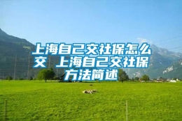 上海自己交社保怎么交 上海自己交社保方法简述