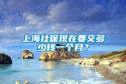 上海社保现在要交多少钱一个月？